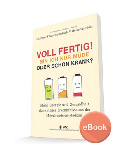 GiCor - E-Book von Dr. Klaus Erpenbach und Heike Schröder